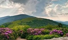 人心都是慢慢淡的说说 慢慢的感情就淡了说说