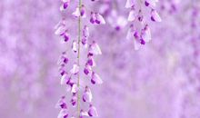 鼓励人减肥的话