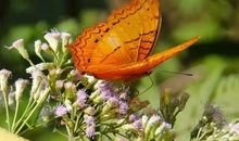 天气变化问候短信