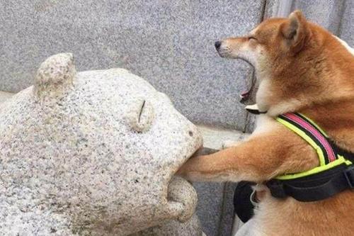 让我们玩得开心