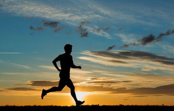 可以锻炼我们整个身体的肌肉