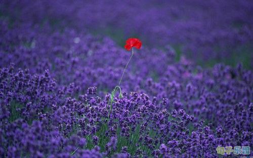 愿您有个好时机告别不幸