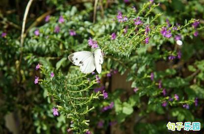 15个句子具有深刻的哲学经典句子