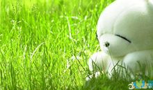 描写美丽的优秀句子