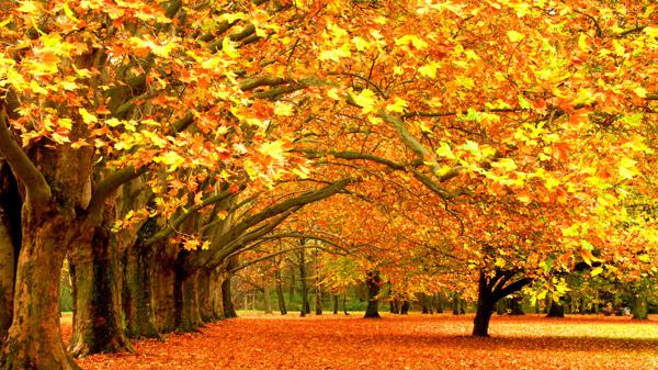 当白云伴着蓝天时