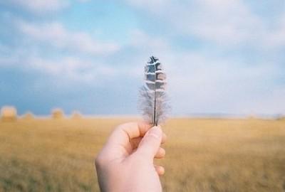  -毛泽东以下是关于做人的一句名言