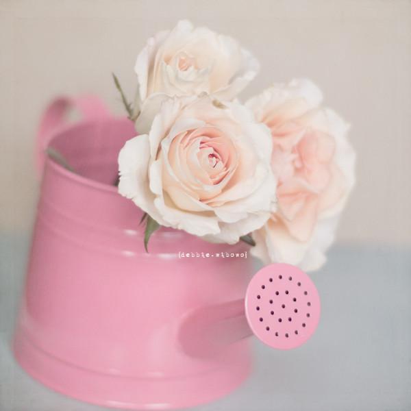 在这个神圣而高尚的词面前