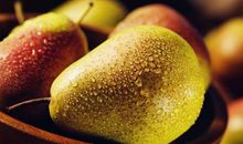 形容人间亲情的句子