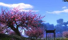 描写校园美景的作文句子