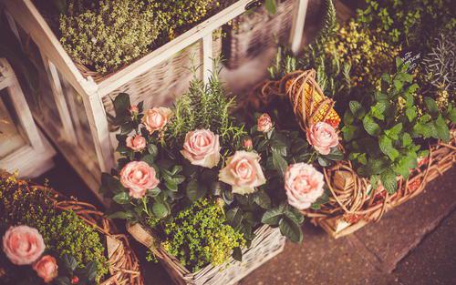 编辑整理了一些有关见花盛开的句子