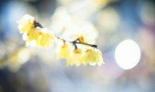 周末结束问候客户短信