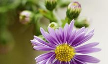 短信结束问候语