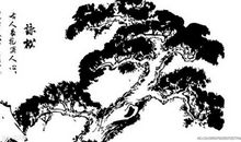 描写松的诗句大全