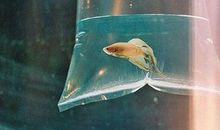 最经典的一句话：总是活在过去拿什么拥抱未来