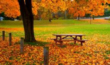 相聚总是短暂的句子亲情