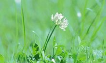 珍惜生命珍惜亲情的句子