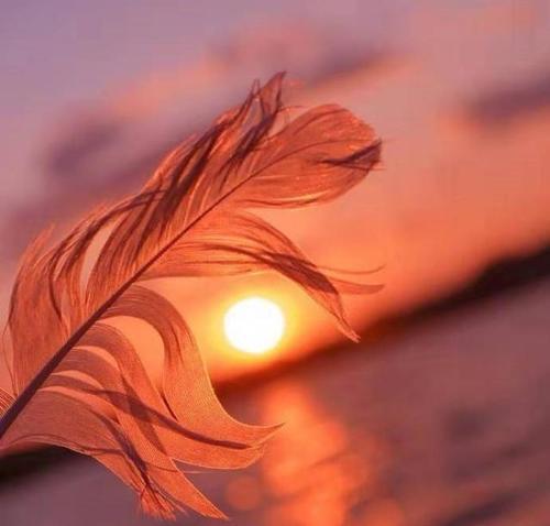 编辑编辑了一些有关不幸生活的句子