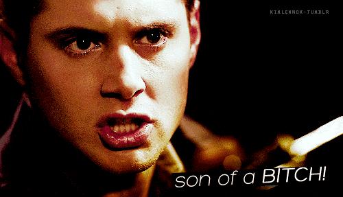 戴安娜（Diane）以下是写仇恨的著名名人