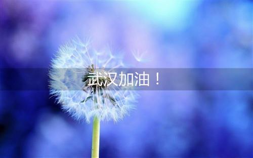 武汉必须袖手旁观