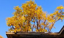 阳光甚好朋友圈说说