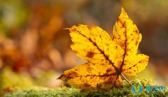  句子的力量  当您与其他人交谈时