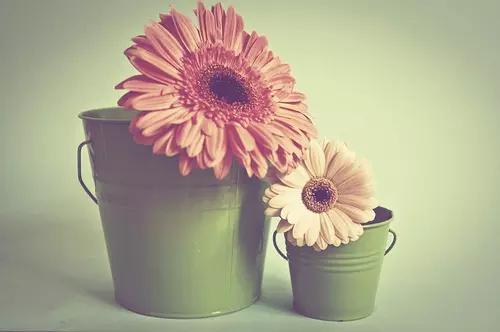 在鼓励他人的同时