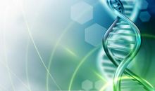 关于研究的名言