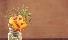 对家庭失望看透的句子