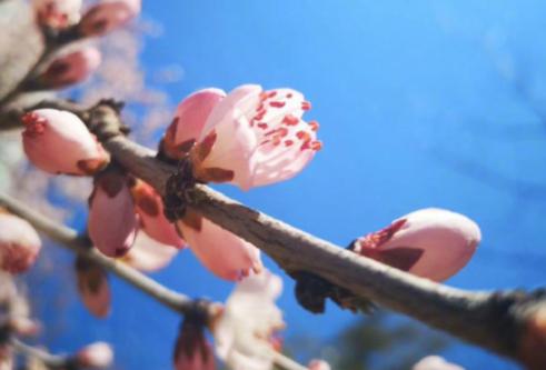 在流行病结束之前