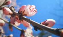 适合疫情介绍后发的心情说说 关于疫情结束想说的话