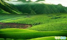 2020优美的句子 优美的句子说说心情