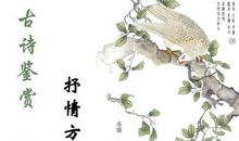 以物抒情的诗句