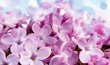 祝爱的人幸福的句子