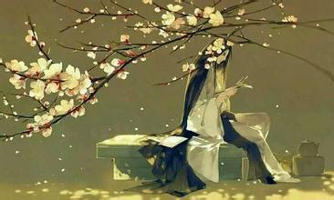 关于礼仪的审美句子百科全书     1