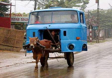 生活已经很苦了