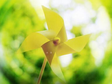 曾经落入阳光的眼泪最终会照亮您脚下的道路