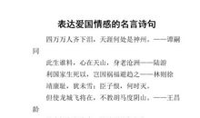 爱国情怀的词句