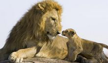 关于亲情的经典名人名言