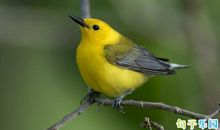 关于春分的谚语或俗语