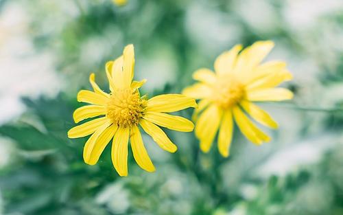 感情就像被子一样不起眼