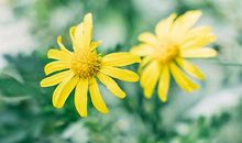 最难割舍是亲情的优美句子