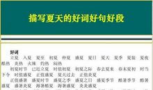 描写四季的好句好段