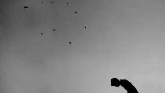 我想让一颗顽固的石头在你的心中哭泣