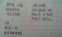 写出描写春花的诗句