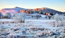 关于冬的优美句子