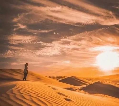 后悔是损失大于损失