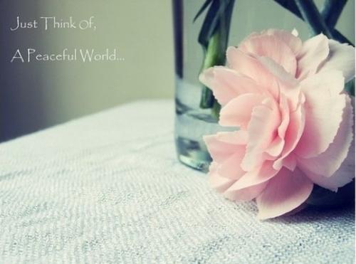 但我们会暂时忘记明天的悲伤