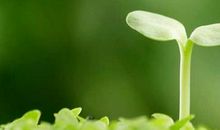 让自己成长的心酸句子