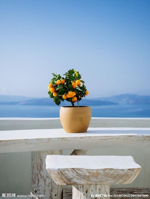 所有女人的幸福很简单