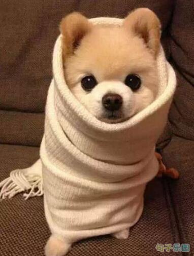 那天我在乘公共汽车时